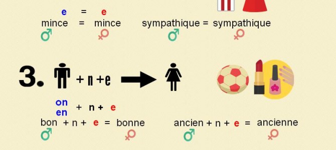 French adjectives (masculine and feminine)
